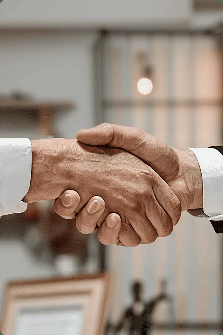 Wolf Business Solutions consulting team